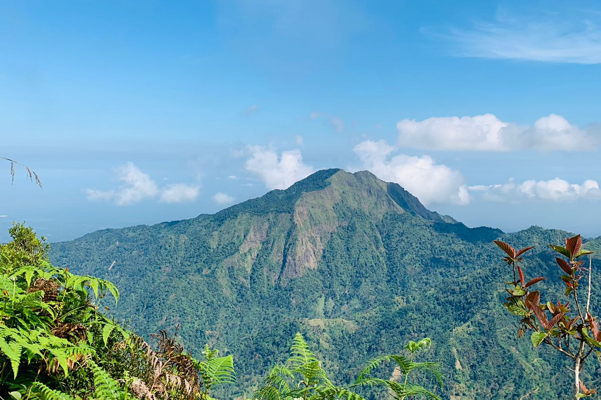 Evakuasi Pendaki Gunung di Kudus yang Jatuh ke Jurang- Kronologi dan Keselamatan Pendakian