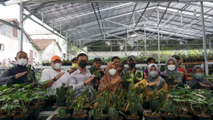 Greenhouse Karangbener: Alternatif Wisata Edukasi di Kudus yang Menyegarkan