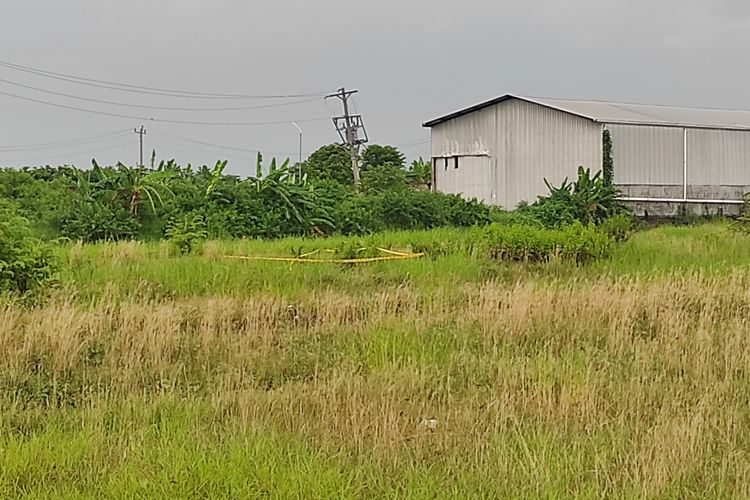 Penemuan Mayat Misterius di Sawah Demak, Sudah Membusuk dan Hanya Sisa Kulit dan Tulang