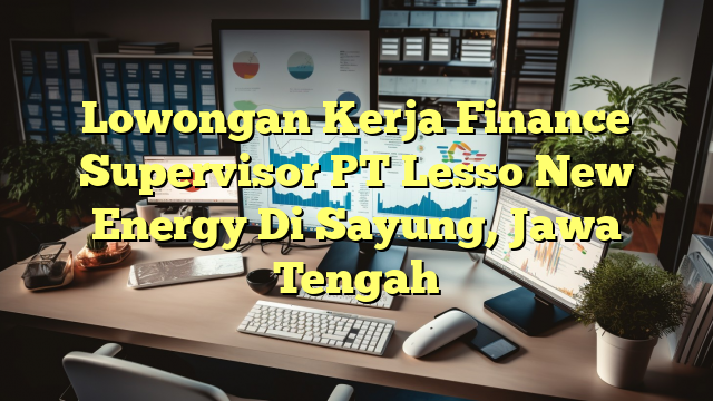 Lowongan Kerja Finance Supervisor PT Lesso New Energy Di Sayung, Jawa Tengah