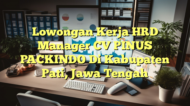 Lowongan Kerja HRD Manager CV PINUS PACKINDO Di Kabupaten Pati, Jawa Tengah