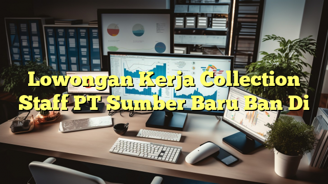 Lowongan Kerja Collection Staff PT Sumber Baru Ban Di