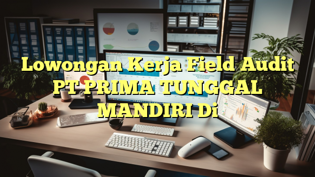 Lowongan Kerja Field Audit PT PRIMA TUNGGAL MANDIRI Di