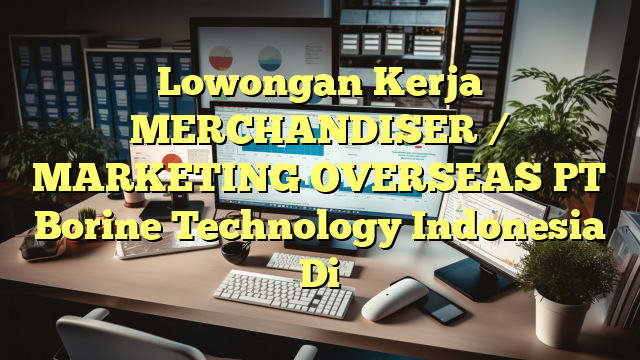 Lowongan Kerja MERCHANDISER / MARKETING OVERSEAS PT Borine Technology Indonesia Di