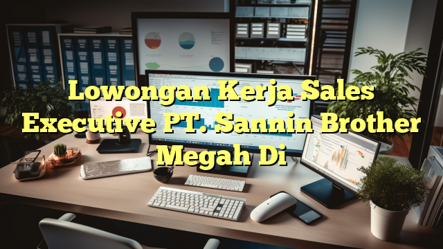 Lowongan Kerja Sales Executive PT. Sannin Brother Megah Di